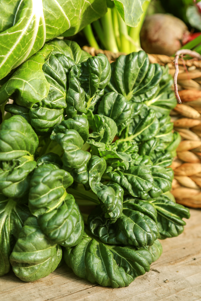 Winter-growing tatsoi, a delicious Asian green, grows in Bertrandoโs hoophouse
