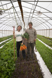 Courtney OโNeill and David Longo, owners of Prema Farm, harvest vegetables in their greenhouse