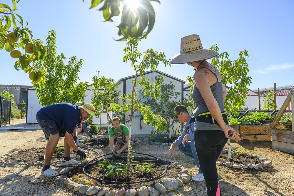 From left, residents Chad Walker and William Osborne (in back), along with Hug and residents Robert Fellows and Gahan, work together to install new irrigation around trees