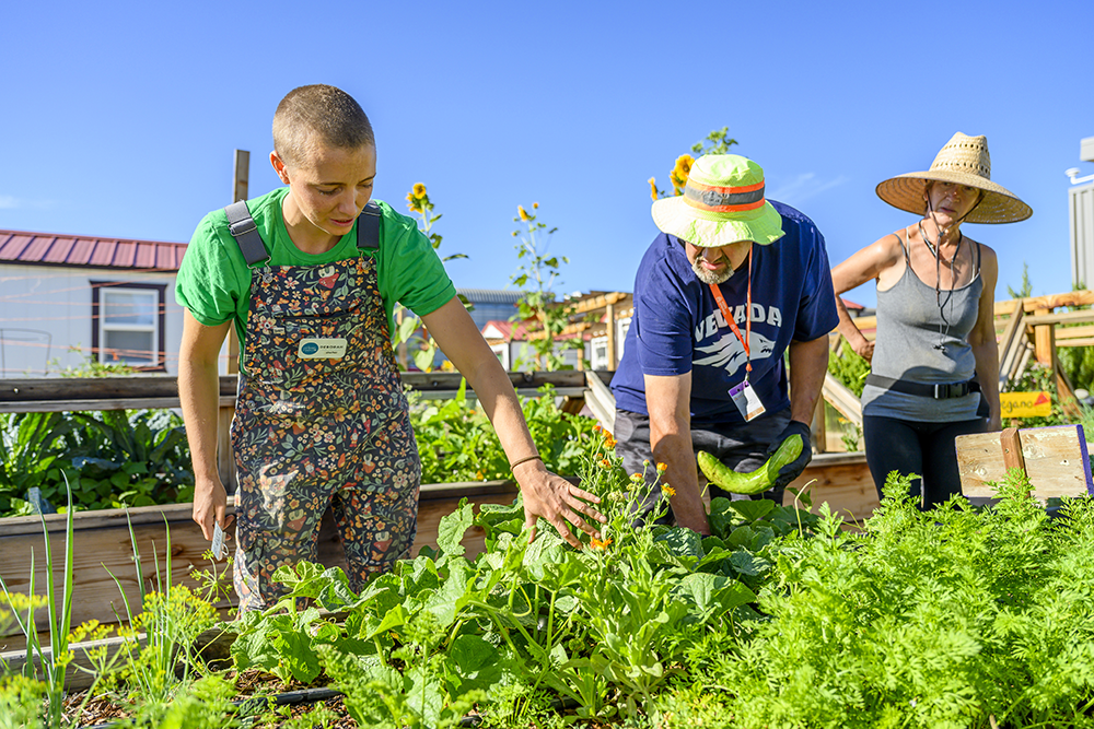 : From left, Hug, Walker, and Gahan explore the vegetable garden looking for invasive bugs and weeds